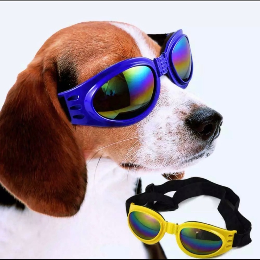 Doggles for your fur baby